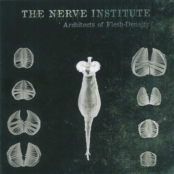 THE NERVE INSTITUTE - Architects of Flesh density